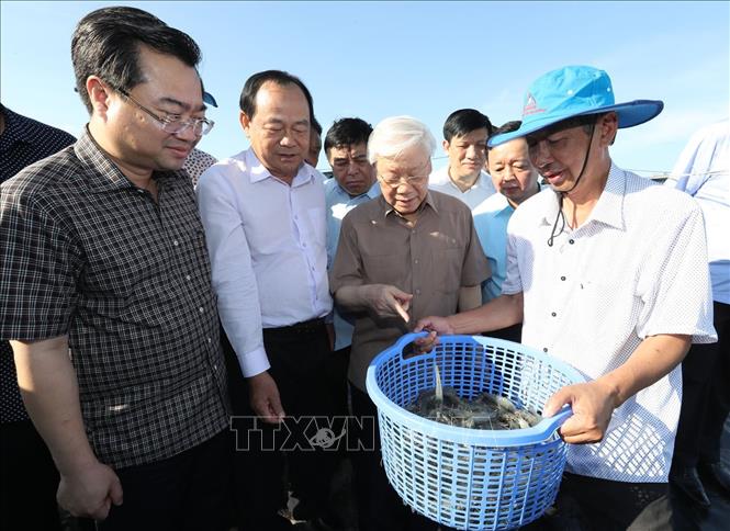 Trong ảnh:Tổng Bí thư, Chủ tịch nước Nguyễn Phú Trọng thăm khu nuôi tôm công nghiệp ứng dụng công nghệ cao của Công ty cổ phần Trung sơn ở xã Trung Hóa, huyện Kiên Lương, tỉnh Kiên Giang. Ảnh: Trí Dũng – TTXVN
