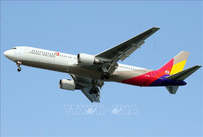 Trong ảnh: Máy bay của Asiana Airlines  tại sân bay quốc tế  ở Incheon, Hàn Quốc. Ảnh: AFP/TTXVN