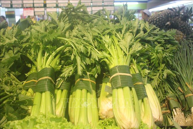 Trong ảnh: Siêu thị Coopmart - chi nhánh Thanh Hóa dùng các loại lá thân thiện với môi trường thay thế cho túi nilon. Ảnh: Hoa Mai - TTXVN
