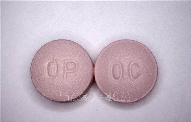 Trong ảnh (do Cơ quan quản lý dược phẩm Mỹ cung cấp): Thuốc giảm đau Oxycontin. Ảnh: AFP/TTXVN