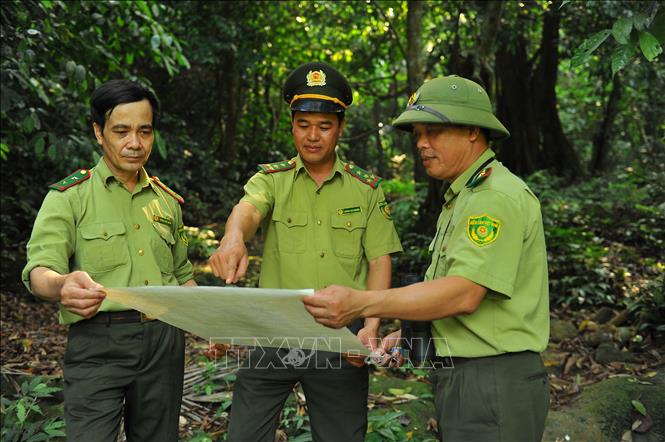 Trong ảnh: Các cán bộ Kiểm lâm Vườn quốc gia Cúc Phương tuần tra bảo vệ rừng. Ảnh: Minh Đức - TTXVN

