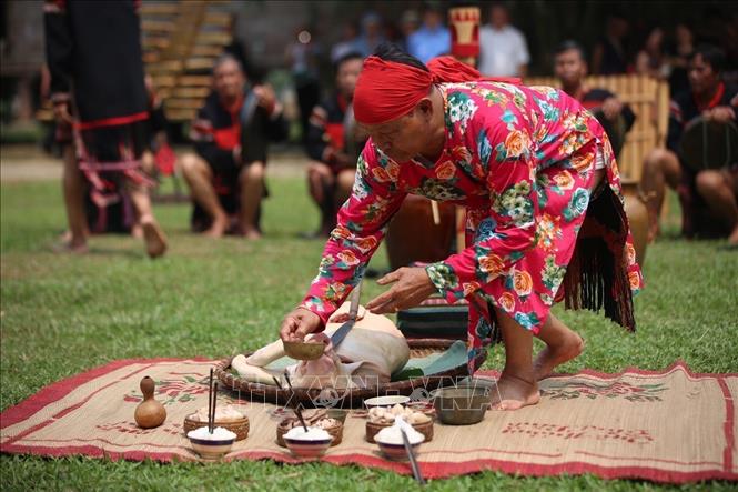 Photo: Ede ethnic group's rituals to pray for peace are revived in the event. VNA Photo: Trọng Đạt