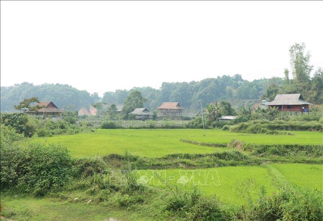 Trong ảnh: Xã Mường Pồn có 12 thôn, bản, bản xa nhất cách trung tâm xã từ 9 đến 10km, cuộc sống tại những bản này cũng đã khoác lên mình một vẻ trù phú, ấm no. Ảnh: Xuân Tiến-TTXVN.