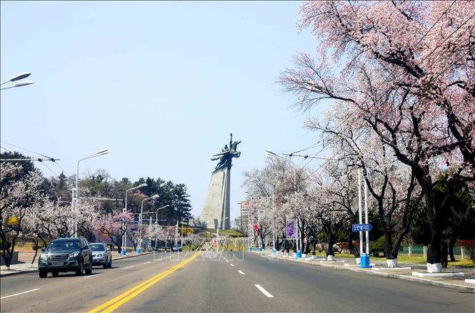 Trong ảnh: Tượng 