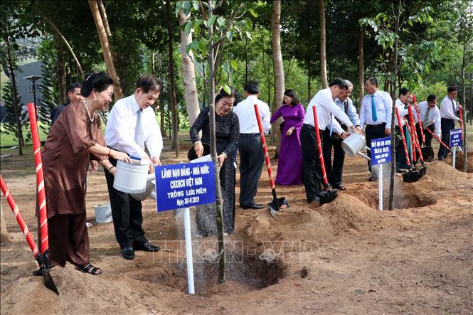 Nguyên lãnh đạo Đảng, Nhà nước, lãnh đạo tỉnh Bà Rịa-Vũng Tàu trồng cây lưu niệm tại Nghĩa trang Hàng Dương. Ảnh: Đoàn Mạnh Dương-TTXVN