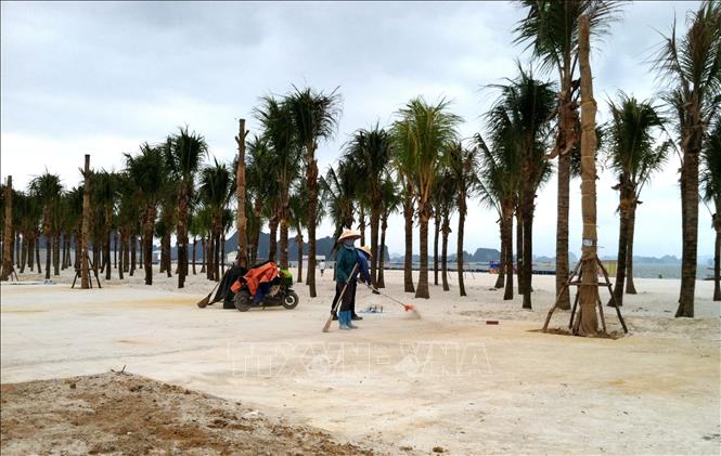 Trong ảnh: Bãi tắm Bãi Cháy mới dài 3,7 km gấp đôi so với năm trước. Ảnh: Văn Đức - TTXVN 