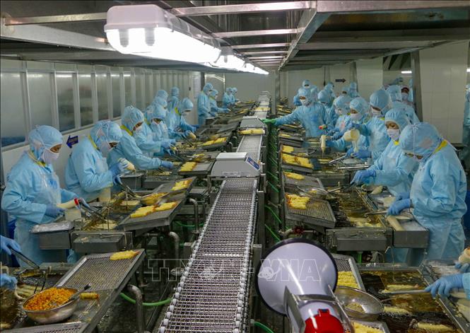 Trong ảnh: Khu vực sản xuất tôm tempura trong Công ty Seavina, nơi xảy ra vụ rò rỉ khí gas (ảnh tư liệu). Ảnh: Thanh Liêm - TTXVN