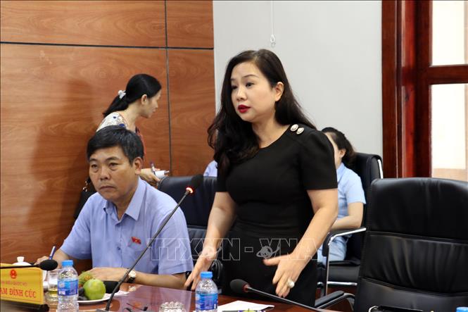 Trong ảnh: Bà Nguyễn Thị Thảo Nhi, Chủ tịch HĐQT kiêm Tổng giám đốc Công ty Cổ phần Thanh Bình-Phú Mỹ phát biểu tại buổi tiếp xúc. Ảnh: Đoàn Mạnh Dương - TTXVN