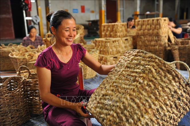 Photo: The products made from weaving water hyacinths usually have three different patterns: rice-like pattern, fishbone pattern and spider web pattern. VNA Photo: Minh Đức