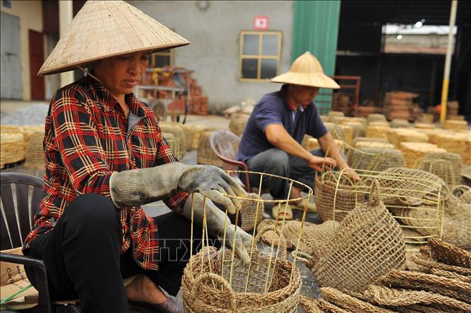 Photo: Workers weave the stems of water hyacinth around set molds. VNA Photo: Minh Đức 
