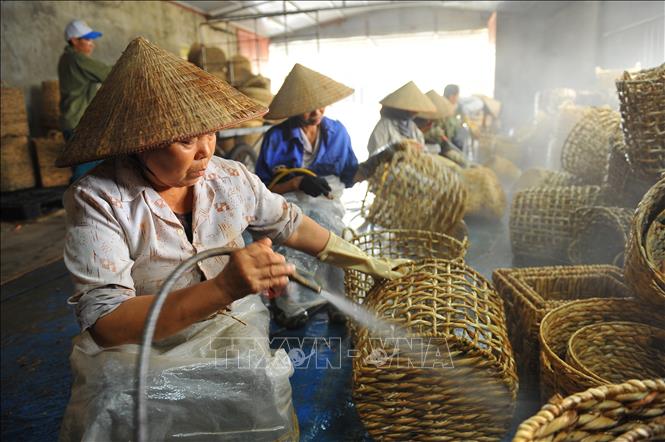 Photo: Workers clean water hyacinth baskets before selling them. VNA Photo: Minh Đức