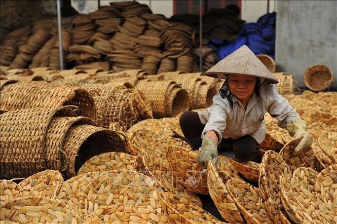 Photo: Clean products made from water hyacinth are set to dry before selling. VNA Photo: Minh Đức