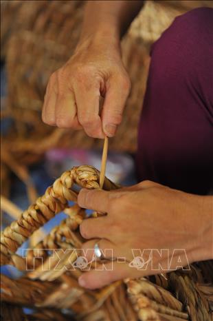 Photo: A pair of woman's hands tighten the stem of water hyacinth, the final touch before finishing a basket. Women is the main work force in weaving hyacinth stems into useful products at Kim Son District. VNA Photo: Minh Đức