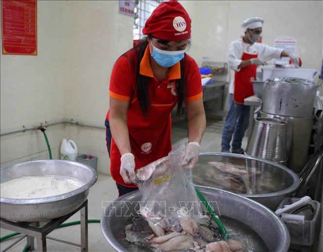 Trong ảnh: Sơ chế thực phẩm tại bếp ăn Trường Tiểu học Phương Liên, Đống Đa (Hà Nội). Ảnh: Thanh Tùng-TTXVN