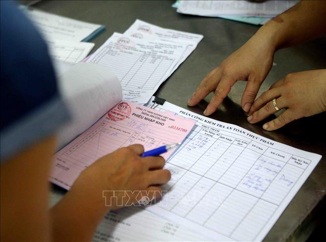 Trong ảnh: Kiểm tra chứng từ, nguồn gốc thực phẩm tại Trường Tiểu học Phương Liên, Đống Đa (Hà Nội). Ảnh: Thanh Tùng-TTXVN