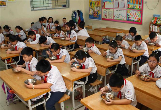 Trong ảnh: Một bữa ăn bán trú của học sinh Trường Tiểu học Phương Liên. Ảnh: Thanh Tùng-TTXVN