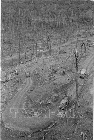 Trong ảnh: Đường Trường Sơn, con đường mang tên Bác Hồ vĩ đại, trong mọi hoàn cảnh chiến tranh ác liệt vẫn luôn là mạch máu nối liền hai miền Bắc Nam. Ảnh: TTXVN