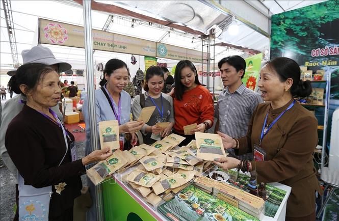 Trong ảnh: Các đại biểu và du khách tham quan hội chợ văn hóa Phật giáo. Ảnh: Dương Giang - TTXVN