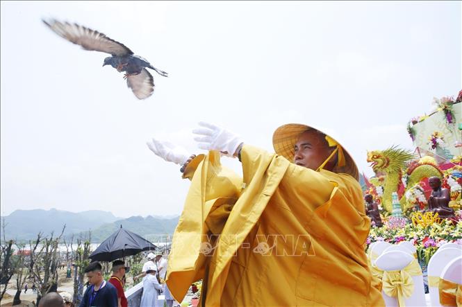 Trong ảnh:Tăng, ni, Phật tử thực hiện nghi thức thả chim bồ câu, cầu chúc hòa bình thế giới. Ảnh: Lâm Khánh - TTXVN