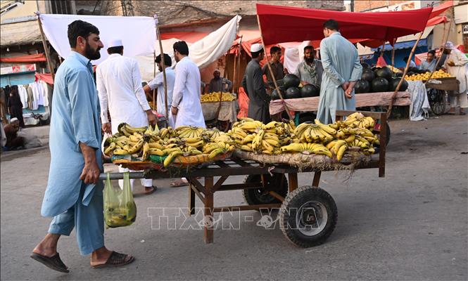 Trong ảnh: Người bán dong trên đường phố Rawalpindi, tỉnh Punjab, Pakistan ngày 10/5/2019. Ảnh: AFP/TTXVN