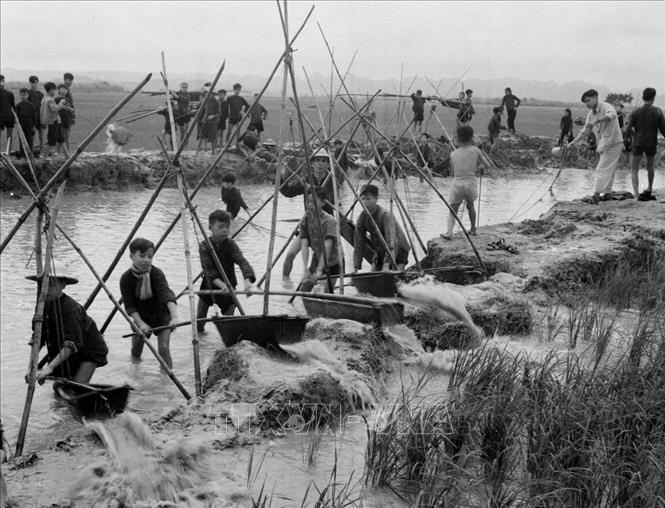 Trong ảnh: Học sinh cấp 1 xã Khánh Thịnh, huyện Yên Khánh, tỉnh Ninh Bình tham gia sản xuất trong dịp hè (tháng 3/1959), góp phần chống Mỹ. Ảnh: Tư liệu TTXVN