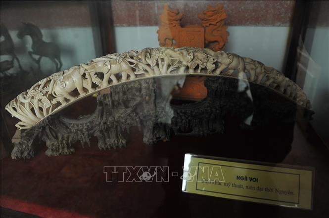 Trong ảnh: Các hiện vật quý được trưng bày tại bảo tàng tỉnh Ninh Bình. Ảnh: Minh Đức - TTXVN