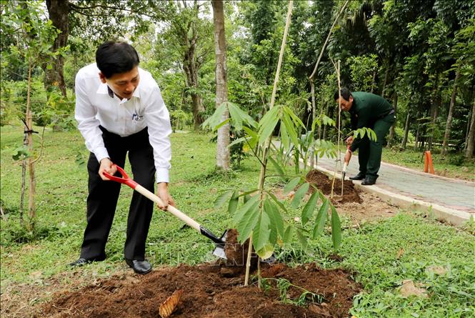 Trong ảnh: Trồng cây đời đời nhớ ơn Bác Hồ. Ảnh: Hải Âu-TTXVN