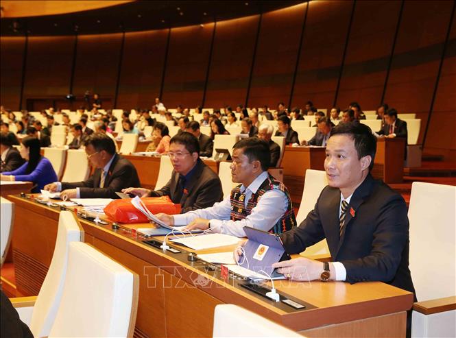 Trong ảnh: Đoàn đại biểu Quốc hội tỉnh Lâm Đồng tại phiên khai mạc. Ảnh: Phương Hoa - TTXVN