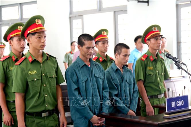Trong ảnh: Các bị cáo tại phiên tòa. Ảnh: Nguyễn Thanh - TTXVN
 