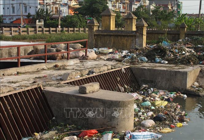 Trong ảnh: Xác lợn mắc bệnh dịch tả lợn châu Phi vứt bừa bãi tại khu vực cửa cống Hòa Vang, xã Tân Dĩnh, huyện Lạng Giang, tỉnh Bắc Giang nhiều ngày, gây ô nhiễm môi trường (24/5/2019). Ảnh: Tùng Lâm – TTXVN