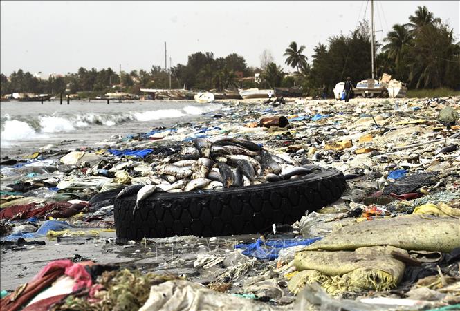 Trong ảnh: Cá chết trôi dạt vào bờ biển tràn ngập rác thải nhựa tại Hann, Dakar, Senegal ngày 2/6/2018. Ảnh: AFP/ TTXVN phát