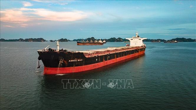 Photo: The ANNOU MAX bulk carrier transports 105,305 tonnes of imported coal to Vietnam from Australia. VNA Photo: Trung Nguyên 