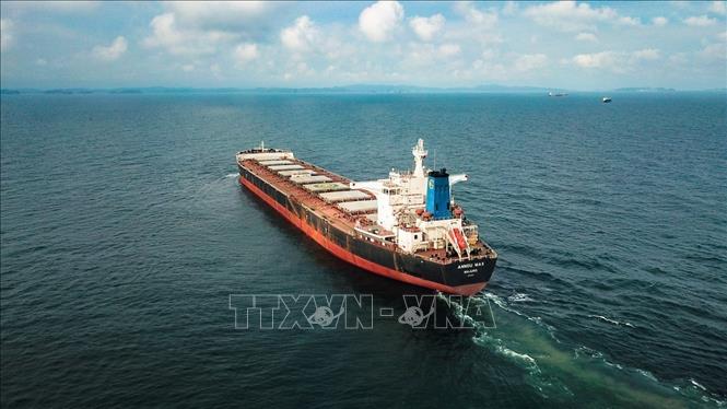 Photo: The ANNOU MAX bulk carrier transports 105,305 tonnes of imported coal to Vietnam from Australia. VNA Photo: Trung Nguyên