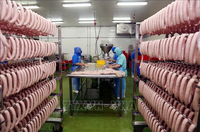 Trong ảnh: Sản xuất xúc xích tại nhà máy Công ty cổ phần Thực phẩm Nipponham Việt Nam, vốn đầu tư của Nhật Bản tại khu công nghiệp Long Hậu (Long An). Ảnh: Danh Lam – TTXVN