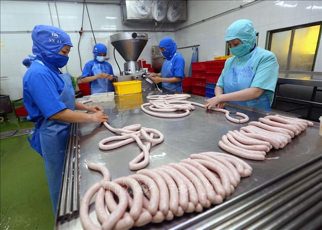 Trong ảnh: Sản xuất xúc xích tại nhà máy Công ty cổ phần Thực phẩm Nipponham Việt Nam, vốn đầu tư của Nhật Bản tại khu công nghiệp Long Hậu (Long An). Ảnh: Danh Lam – TTXVN