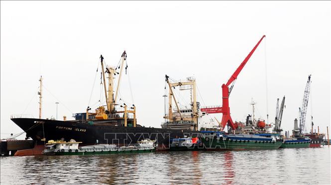 Trong ảnh: Cảng quốc tế Long An có khả năng tiếp nhận tàu trọng tải 30.000 - 50.000 tấn, có vị trí thuận lợi trong giao thương với Thành phố Hồ Chí Minh và các tỉnh đồng bằng sông Cửu Long, là điều kiện thuận lợi để thu hút các doanh nghiệp đầu tư vào tỉnh. Ảnh: Danh Lam – TTXVN