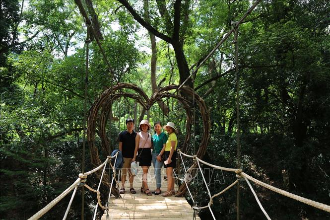 Photo: A wooden bridge decorated with heart-shaped vines, surrounded by green trees, is a beautiful spot at Ozo Treetop Park. VNA Photo: Mạnh Thành 