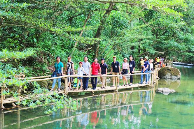 Photo: Visitors walk on a bamboo bridge that curves by clear Ozo stream. VNA Photo: Mạnh Thành