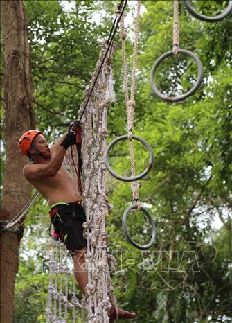 Photo: A visitor tries net climbing at Ozo Treetop Park. VNA Photo: Mạnh Thành