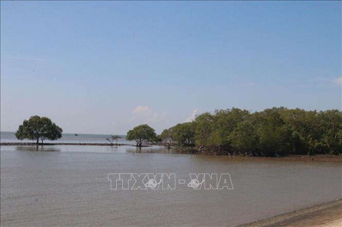 Trong ảnh: Tình trạng xâm thực bờ biển Tân Điền (Gò Công Đông, Tiền Giang). Ảnh: Minh Trí - TTXVN