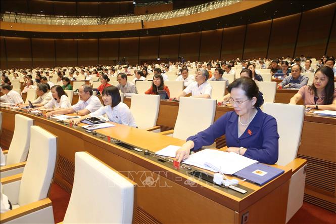 Trong ảnh: Đoàn đại biểu quốc hội tỉnh Hải Dương tham gia biểu quyết. Ảnh: Doãn Tấn - TTXVN