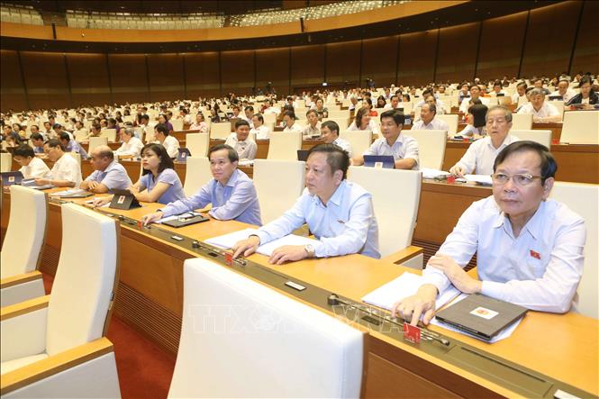 Trong ảnh: Đoàn đại biểu quốc hội tỉnh Đắk Nông tham gia biểu quyết. Ảnh: Doãn Tấn - TTXVN