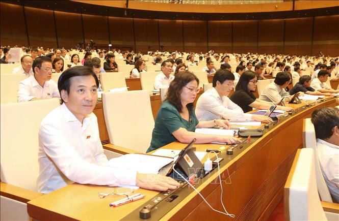 Trong ảnh: Đoàn đại biểu quốc hội tỉnh Điện Biên tham gia biểu quyết. Ảnh: Doãn Tấn - TTXVN