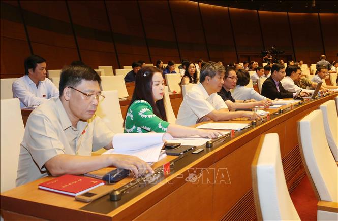 Trong ảnh: Đoàn đại biểu Quốc hội Thành phố Hà Nội tham gia biểu quyết thông qua Luật Kiến trúc. Ảnh: Doãn Tấn - TTXVN