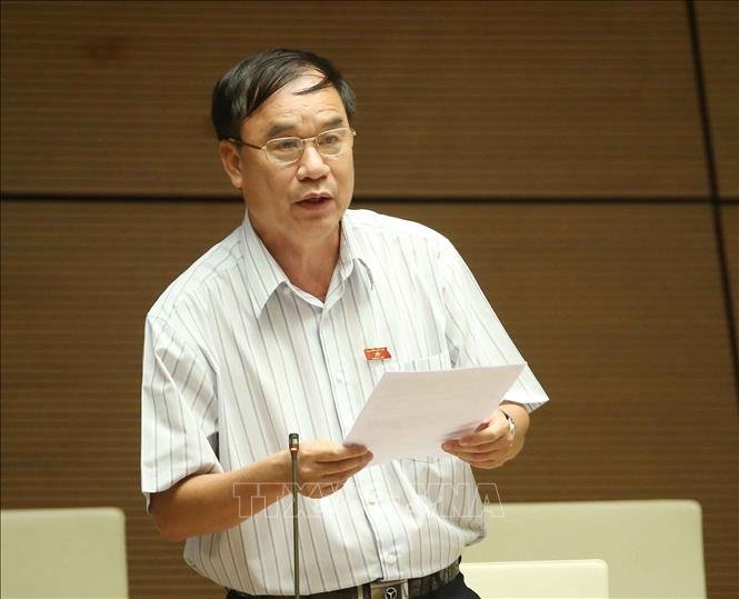 Trong ảnh: Đại biểu Quốc hội tỉnh Nam Định Trần Quang Chiểu phát biểu ý kiến. Ảnh: Doãn Tấn - TTXVN