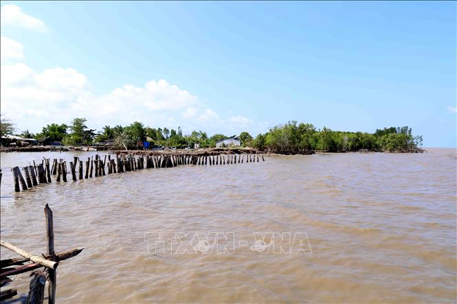 Trong ảnh: Tuyến đê biển ở ấp Kim Qui, xã Vân Khánh bị sóng biển đánh trôi hồi đầu tháng 6/2019. Ảnh: Vũ Sinh - TTXVN