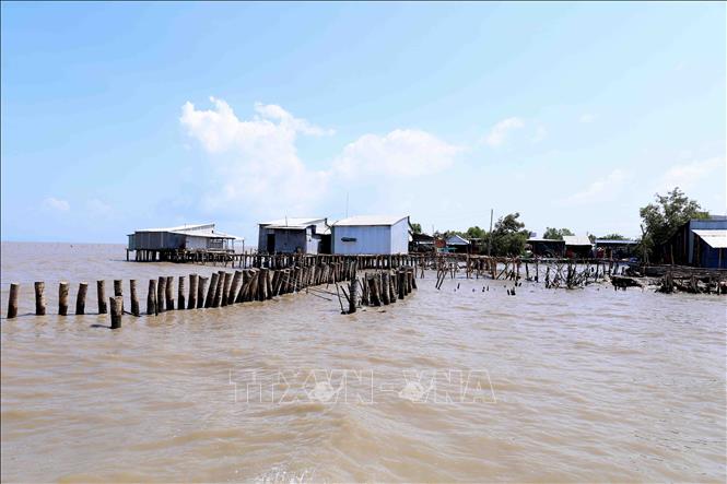 Trong ảnh: Tuyến đê biển ở ấp Kim Qui, xã Vân Khánh bị sóng biển đánh trôi hồi đầu tháng 6/2019. Ảnh: Vũ Sinh – TTXVN