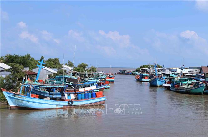 Trong ảnh: Theo quy định tàu cá được cấp phép khai thác thủy hải sản tại vùng biển khơi phải có chiều dài trên 15m và công suất trên 90cv trở lên. Ảnh: Vũ Sinh - TTXVN