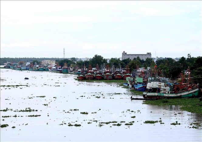 Trong ảnh: Theo quy định tàu cá được cấp phép khai thác thủy hải sản tại vùng biển khơi phải có chiều dài trên 15m và công suất trên 90cv trở lên. Ảnh: Vũ Sinh - TTXVN