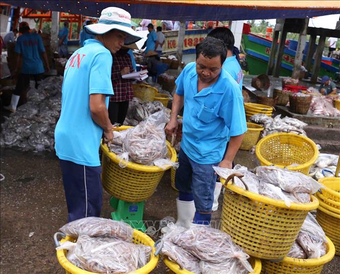 Trong ảnh: Ngư dân vận chuyển thủy hải sản đánh bắt được mang đi tiêu thụ tại cảng cá Tắc Cậu. Ảnh: Vũ Sinh - TTXVN